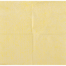 Салфетки бумажные Luscan Profi Pack 1-слойные 24х24 см жёлтые (400 листов в пачке) фото Салфетки бумажные Luscan Profi Pack 1-слойные 24х24 см жёлтые (400 листов в пачке)