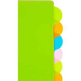 Разделитель листов пластиковый Attache Selection А4+ 12 листов по цветам (246x305 мм)