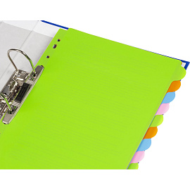 Разделитель листов пластиковый Attache Selection А4+ 12 листов по цветам (246x305 мм)