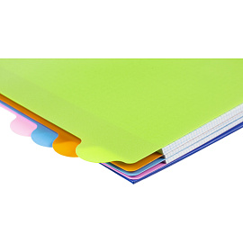 Разделитель листов пластиковый Attache Selection А4+ 12 листов по цветам (246x305 мм)