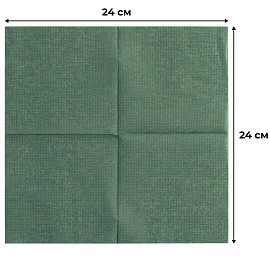 Салфетки бумажные Luscan Profi Pack 1-слойные 24х24 зелёные (400 листов в пачке) фото Салфетки бумажные Luscan Profi Pack 1-слойные 24х24 зелёные (400 листов в пачке)