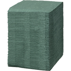 Салфетки бумажные Luscan Profi Pack 1-слойные 24х24 зелёные (400 листов в пачке) фото Салфетки бумажные Luscan Profi Pack 1-слойные 24х24 зелёные (400 листов в пачке)