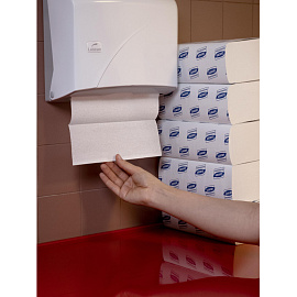 Диспенсер для листовых полотенец Luscan Professional пластиковый белый