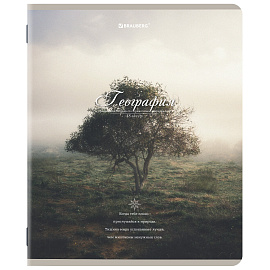 Тетради предметные, КОМПЛЕКТ 12 ПРЕДМЕТОВ, 48 л., SoftTouch, BRAUBERG, "ESTHETICS", 404833