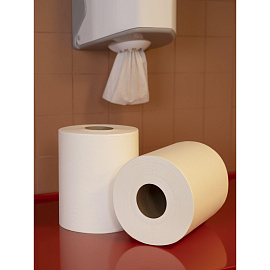 Полотенца бумажные рулонные с центральной вытяжкой Luscan Professional M2 1-слойные белые 6 рулонов по 300 метров