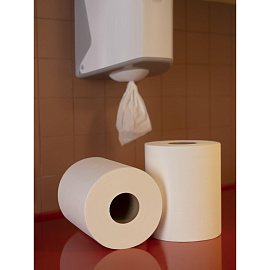 Полотенца бумажные рулонные с центральной вытяжкой Luscan Professional M2/M4 1-слойные белые 6 рулонов по 300 метров