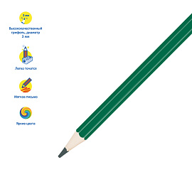 Карандаши цветные Мульти-Пульти "Енот в Индии", 12цв., заточен., картон, европодвес