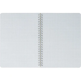 Бизнес-тетрадь Attache Selection Амели А5 60 листов в клетку на спирали (150х210 мм)