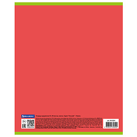 Тетрадь предметная "AVOCADO" 48 л., глянцевый лак, ХИМИЯ, клетка, BRAUBERG, 404284