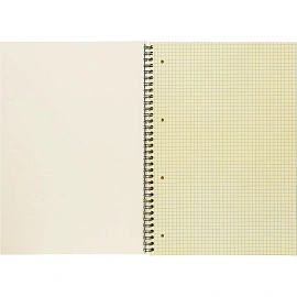 Бизнес-тетрадь Attache Selection А4 80 листов желтая в клетку на спирали (220х298 мм)