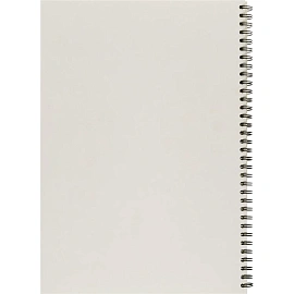 Бизнес-тетрадь Attache Selection А4 80 листов желтая в клетку на спирали (220х298 мм)