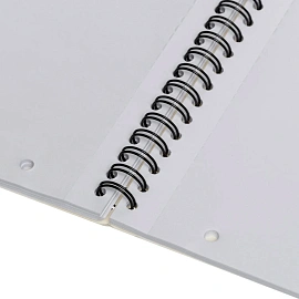 Блокнот Attache Selection Clear Pad А4 80 листов без линовки белый на спирали (205х305 мм)