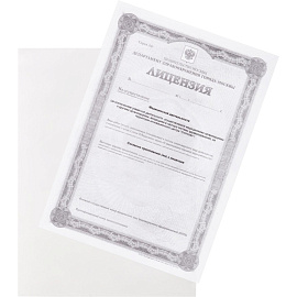 Папка-уголок Attache Economy A4 пластиковая 100 мкм прозрачная (10 штук в упаковке)