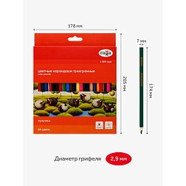 Карандаши цветные Гамма Мультики 24 цвета трехгранные (290122_24)