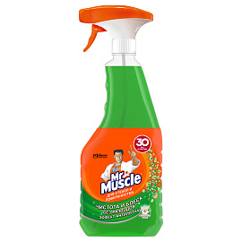 Средство для стекол и зеркал Mr.Muscle 500 мл (с нашатырным спиртом)