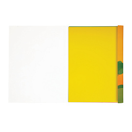 Картон цветной А4, Мульти-Пульти, 10л., 10цв., чистоцеллюлозный, в папке, "Приключения Енота