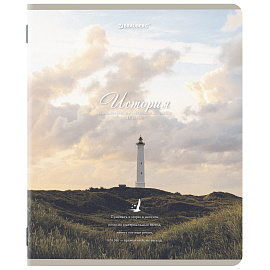 Тетради предметные, КОМПЛЕКТ 12 ПРЕДМЕТОВ, 48 л., SoftTouch, BRAUBERG, "ESTHETICS", 404833