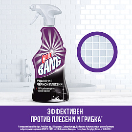 Средство для сантехники чистящее Cillit Bang Удаление чёрной плесени 0,75 л для уборки туалета и ванной