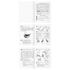 Рабочая тетрадь, А5, ТРИ СОВЫ "Начинаю читать. 5-7 лет", 32стр.