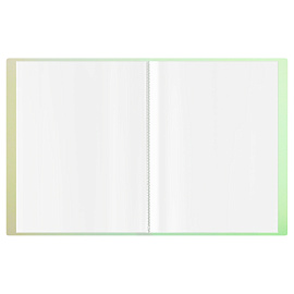 Папка с 60 вкладышами СТАММ "Сияние" А4, 21мм, 700мкм, пластик, белый