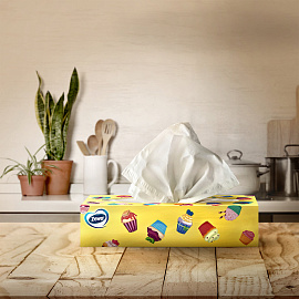 Салфетки косметические Zewa Everyday 2-слойные (100 штук в упаковке)