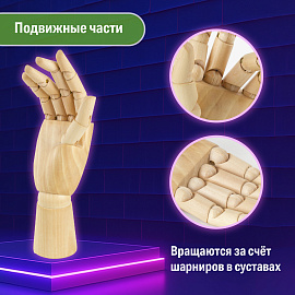 Манекен художественный BRAUBERG ART CLASSIC "РУКА", высота 25 см., женская правая, дерево, 191299