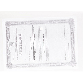 Папка-конверт на кнопке Attache Economy А4 бесцветная 100 мкм (10 штук в упаковке)