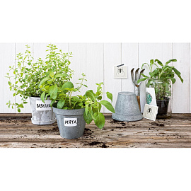 Этикетки самоклеящиеся всепогодные Avery Zweckform Living 47.5x35 мм и 47.5x73 мм белые (8-4 штуки на листе A4, 4 листа в упаковке) фото Этикетки самоклеящиеся всепогодные Avery Zweckform Living 47.5x35 мм и 47.5x73 мм белые (8-4 штуки на листе A4, 4 листа в упаковке)