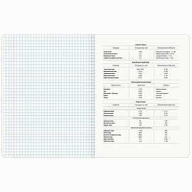 Тетрадь предметная "PASTEL" 48 л., SoftTouch, фольга, ГЕОГРАФИЯ, клетка, BRAUBERG, 404313