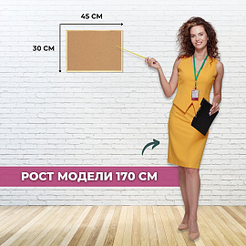 Доска пробковая 30х45 см Attache Economy деревянная рама фото Доска пробковая 30х45 см Attache Economy деревянная рама