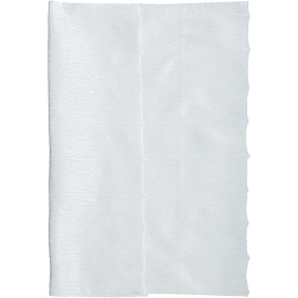 Салфетки хозяйственные в рулоне Luscan спанлейс/нетканое полотно 22x23 см 40 г/кв.м 70 листов фото Салфетки хозяйственные в рулоне Luscan спанлейс/нетканое полотно 22x23 см 40 г/кв.м 70 листов