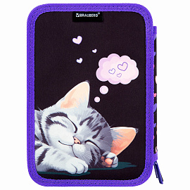 Пенал BRAUBERG, 3 отделения, полиэстер, 21х14 см, "Sleeping kitten", 273538