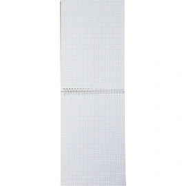 Блокнот Attache Города А4 60 листов разноцветный в клетку на спирали (203х290 мм)