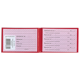 Бланк документа "Пропуск", 65х98 мм, STAFF, 129143