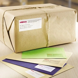 Этикетки самоклеящиеся  адресные,прозр.63.5х38.1мм. А4 25л/уп