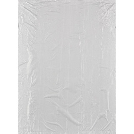 Пакет фасовочный ПНД 8 мкм 30х40 см (100 штук в рулоне)