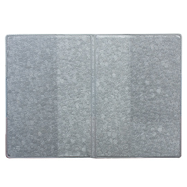 Обложка для паспорта ДПС Россия из ПВХ разноцветная (2203.Ф)