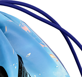 Мешок для обуви 1 отделение ArtSpace "Football", 350*420мм