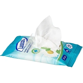 Салфетки влажные Luscan антибактериальные флоупак с мягким клапаном (15 листов в пачке)