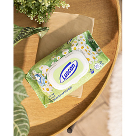 Салфетки влажные Luscan антибактериальные флоупак с жёстким клапаном (70 листов в пачке) фото Салфетки влажные Luscan антибактериальные флоупак с жёстким клапаном (70 листов в пачке)