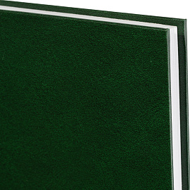 Ежедневник недатированный Attache Ideal балакрон А5 136 листов зеленый