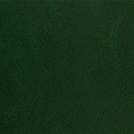 Ежедневник недатированный Attache Ideal балакрон А5 136 листов зеленый