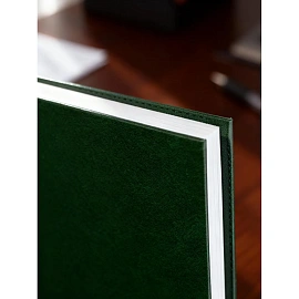 Ежедневник недатированный Attache Ideal балакрон А5 136 листов зеленый