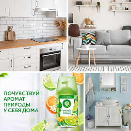 Сменный баллон 250 мл, AIRWICK "Анти-табак. Апельс/бергамот", для автоматических освежителей, универсальный, 224392 фото Сменный баллон 250 мл, AIRWICK "Анти-табак. Апельс/бергамот", для автоматических освежителей, универсальный, 224392