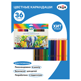 Карандаши цветные Гамма "Классические", 36цв., заточен., картон. упаковка, европодвес фото Карандаши цветные Гамма "Классические", 36цв., заточен., картон. упаковка, европодвес