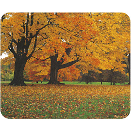 Коврик для мыши ProfiOffice MPF5 (57524) фото Коврик для мыши ProfiOffice MPF5 (57524)