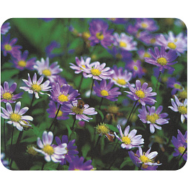 Коврик для мыши ProfiOffice MPF5 (57524) фото Коврик для мыши ProfiOffice MPF5 (57524)