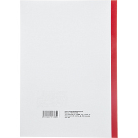 Книга учета 96 листов А4 в линейку на скрепке блок офсет (обложка - картон)