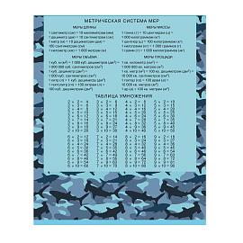 Тетрадь 12л., клетка BG "Экстрим", эконом