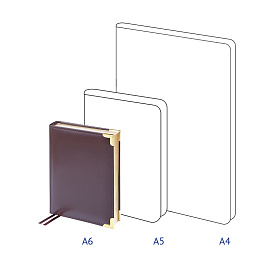 Ежедневник недатированный, А6, 160л., кожа, Delucci, гладкая кожа, коричневый, зол. срез